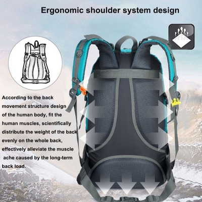 Mochila que camina resistente 60L de agua de BSCI que camina la mochila del alpinismo
