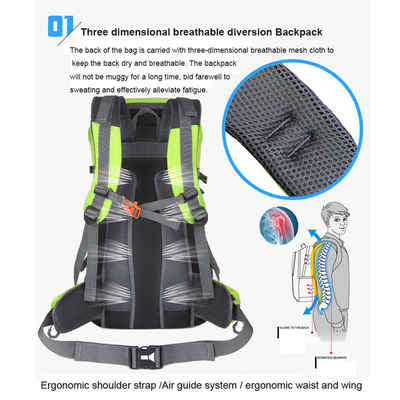 mochila ligera 40L del viaje de las mujeres impermeables verdes de la mochila de los 64cm que caminan