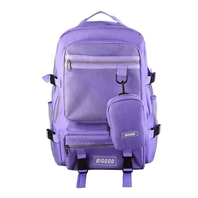 El negocio rojo de BSCI hace excursionismo la mochila casual del viaje de Oxford de la capacidad grande